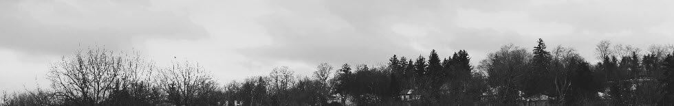 Victoria Hollow